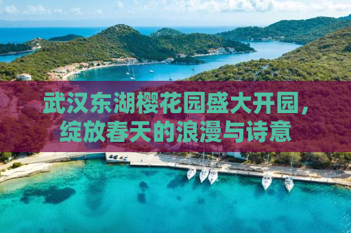 武汉东湖樱花园盛大开园，绽放春天的浪漫与诗意