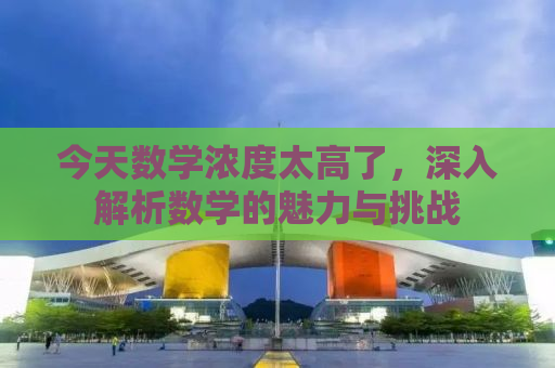 今天数学浓度太高了，深入解析数学的魅力与挑战