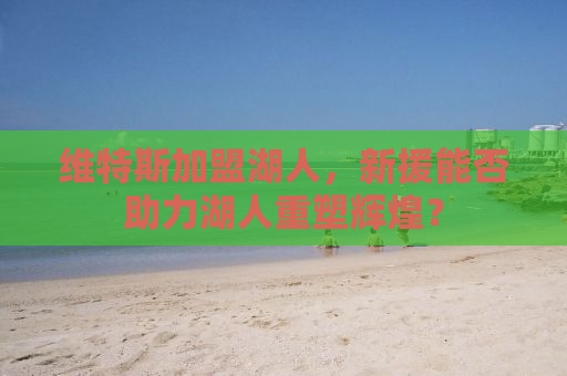 维特斯加盟湖人，新援能否助力湖人重塑辉煌？