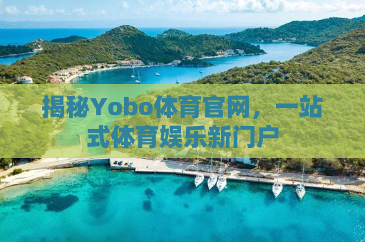 揭秘Yobo体育官网，一站式体育娱乐新门户