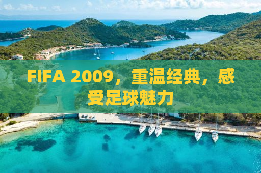 FIFA 2009，重温经典，感受足球魅力